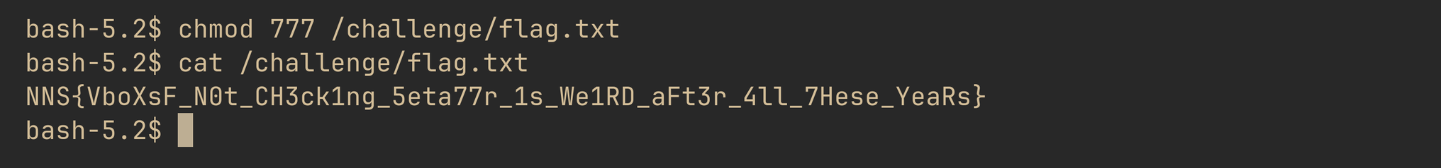 Terminal output showing chmod 777 /challenge/flag.txt succeeding with no error as an unprivileged user, followed by cat /challenge/flag.txt printing the flag.