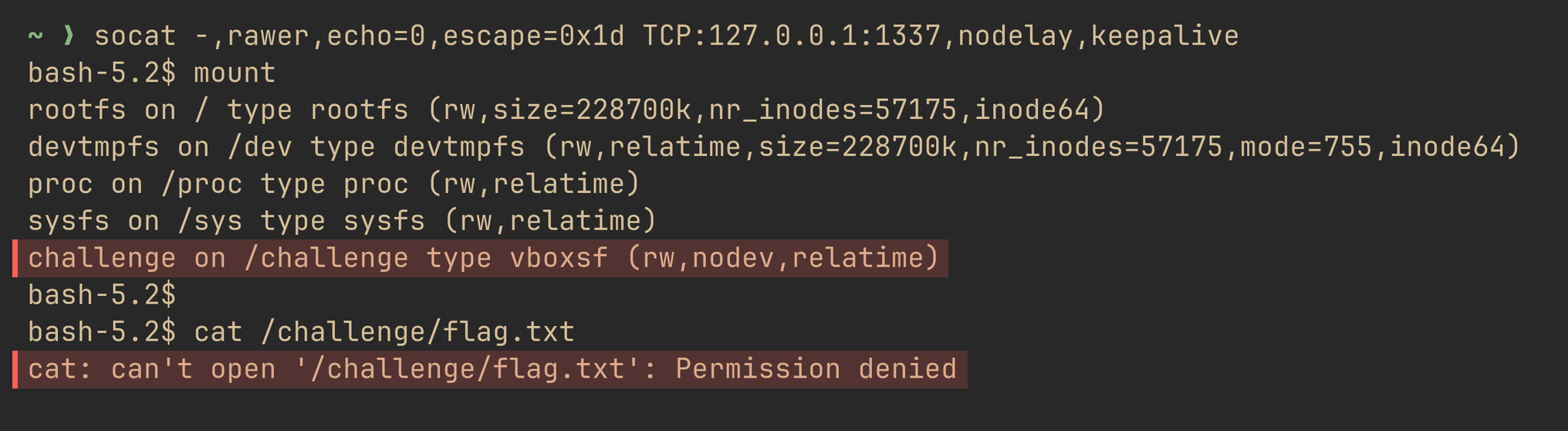 Terminal output of mount in the challenge guest. Among rootfs, devtmpfs, proc and sysfs, one line is highlighted in red: challenge on /challenge type vboxsf (rw,nodev,relatime). Below it, cat /challenge/flag.txt is highlighted failing with Permission denied.